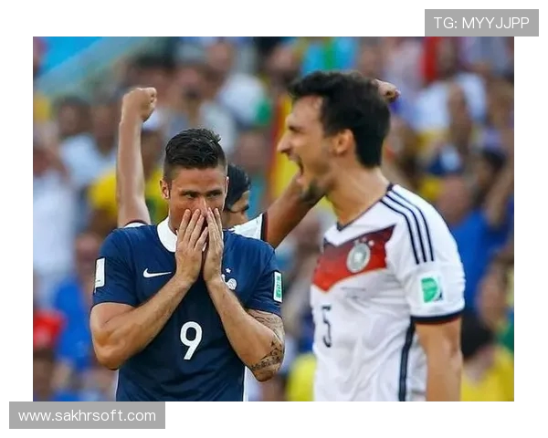 世界杯期间举办城市治安管理的联动感